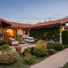 backyard landscaping plants