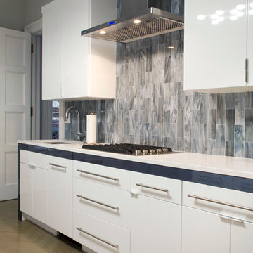 Sleek Contemporary Kitchen