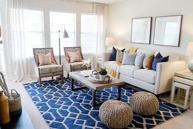 Living room - transitional living room idea in Other
