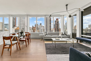 Living room - contemporary living room idea in New York