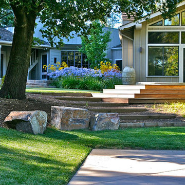 A country garden in Palo Alto