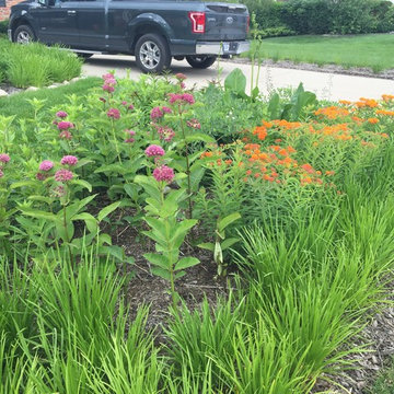 Compilation of Rain Garden Projects
