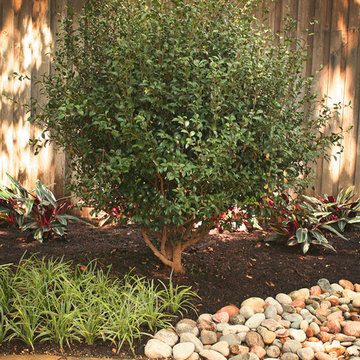 Flowerbeds and Backyard Makeover
