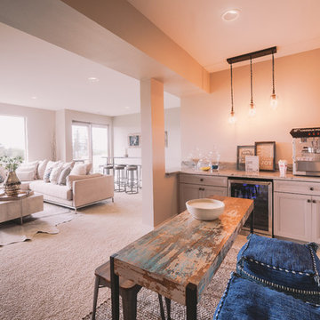 Basement Remodel