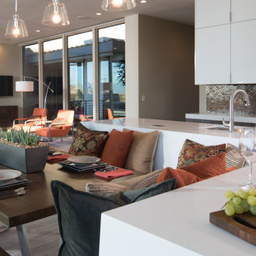 The New American Home 2016