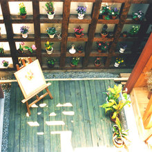 植物 / live green