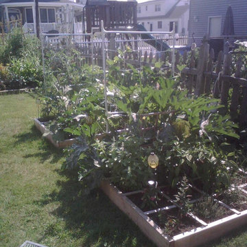 Vegetable & Herb Gardens