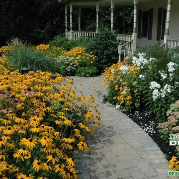 Dramatic Curb Appeal: