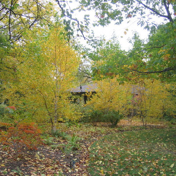 FL Wright House, Jens Jensen Landscape