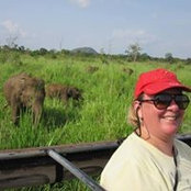 Nancy Laatunen's photo