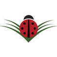Town & Country Landscape Management, LLC's profile photo