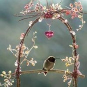 Kay Alexander's photo
