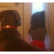 Chad Cloud's photo