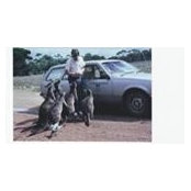 Cheryl Paterson Estabrooks's photo
