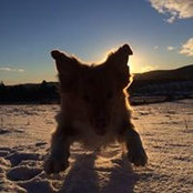 Sam Rotheram's photo