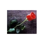 Vigneshwari Ramu's photo