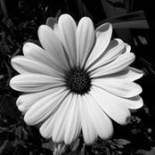 Foto von Stacy Gens