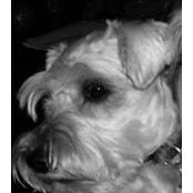 John Wilson's photo