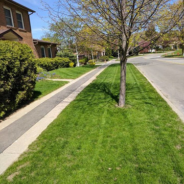 Grass Stripes