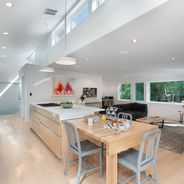 Wayland MA Modern Transformation