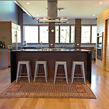 Millwork design + Quartz modern home