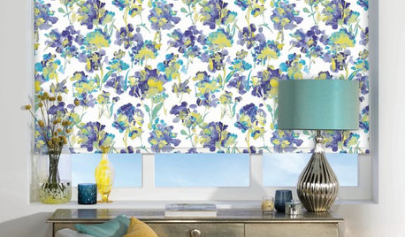 Should I Choose Roller Blinds for my Windows?