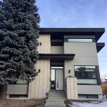 Rosedale Modern