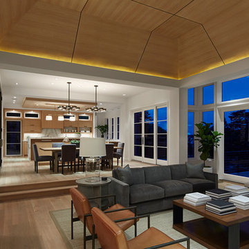 Luxury Home 2015 Open Concept 2