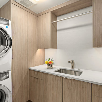 Downtown Aspen Modern - Remodel