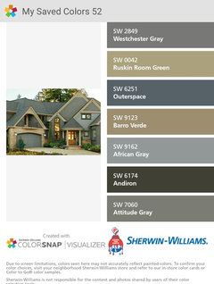 Please share your opinion! Color of new roof shingles and siding...