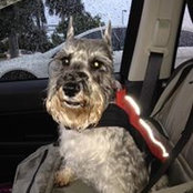 Hilary Haft's photo