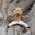 Meddy Teddy