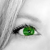 Tammy Pierson's photo
