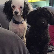 Heather Colgan's photo
