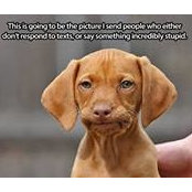 Amy Engle's photo