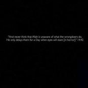 Fareeha Usmani's photo