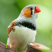 JiaWang Yu's photo