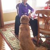 Amy Lisherness's photo