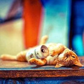 Lucy Luus foto