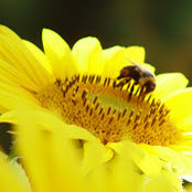 michele scheller's photo