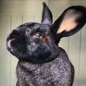 Dana Feagin's photo