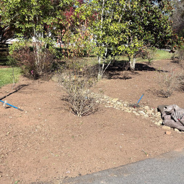 Cleaned Up Garden