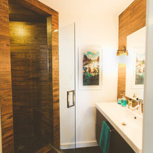 Lower Level Bathroom