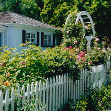 Backyard White Picket Fence