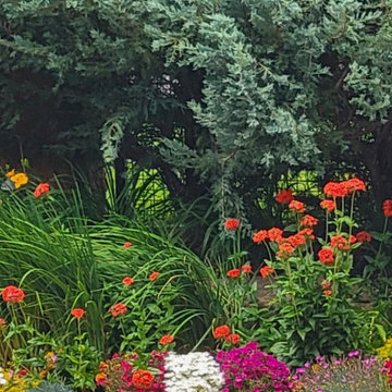 2024 Landscape Season