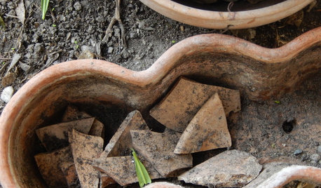 Le 9 Parole del Giardinaggio che Devi Conoscere