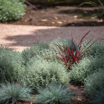 Brentwood Burle Marx Tribute