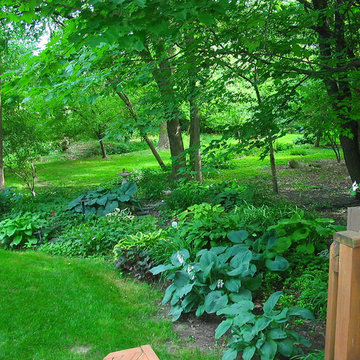 Shade Garden