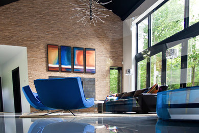 Living room - contemporary living room idea in New York