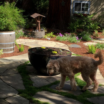 Playful, Secluded Shade Garden & Fairytale Pond